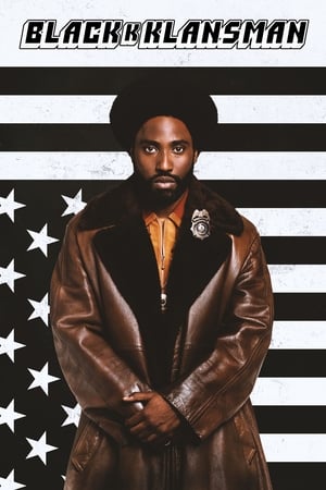 BlacKkKlansman (2018) Hindi Dual Audio 480p BluRay 420MB